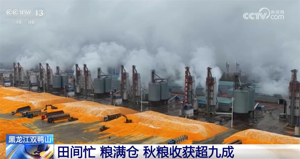 必赢金秋十月“丰”景如画​机械化提质增效奏响现代农业“奋进曲”(图5)