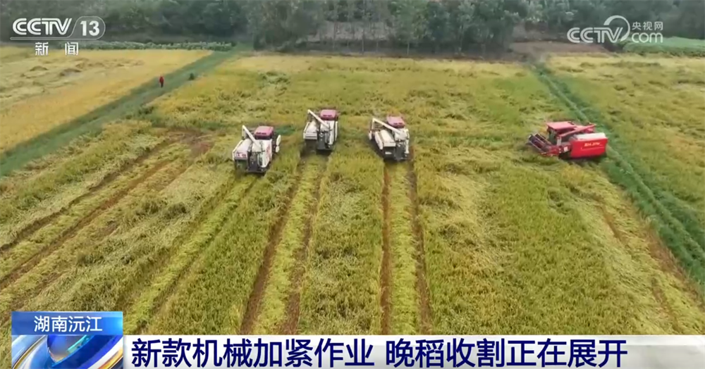 必赢金秋十月“丰”景如画​机械化提质增效奏响现代农业“奋进曲”(图7)