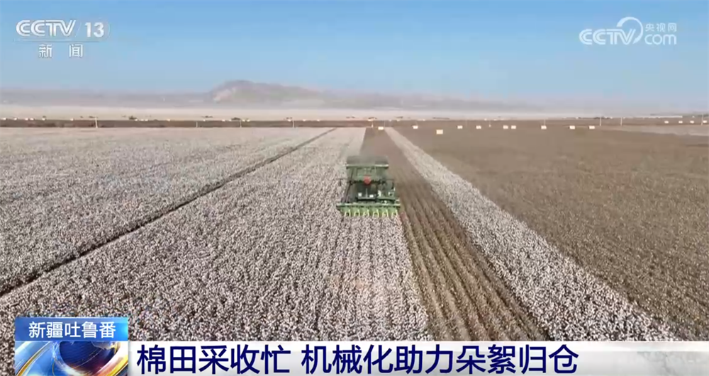 必赢金秋十月“丰”景如画​机械化提质增效奏响现代农业“奋进曲”(图10)
