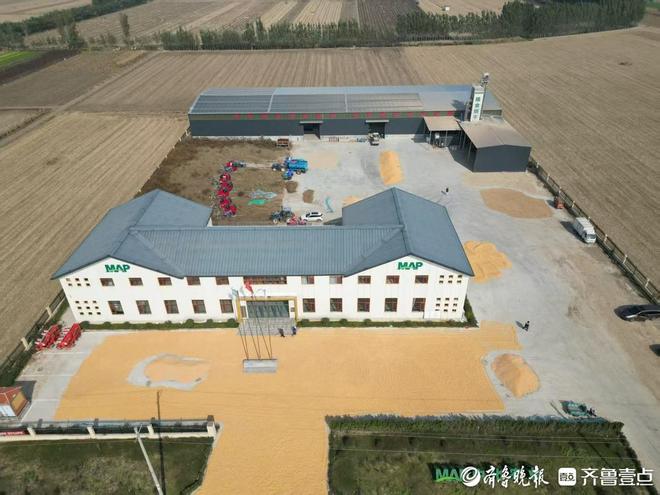 210万农担贷助力泰安秋粮抢收种粮大户将再建300吨烘干塔(图2)