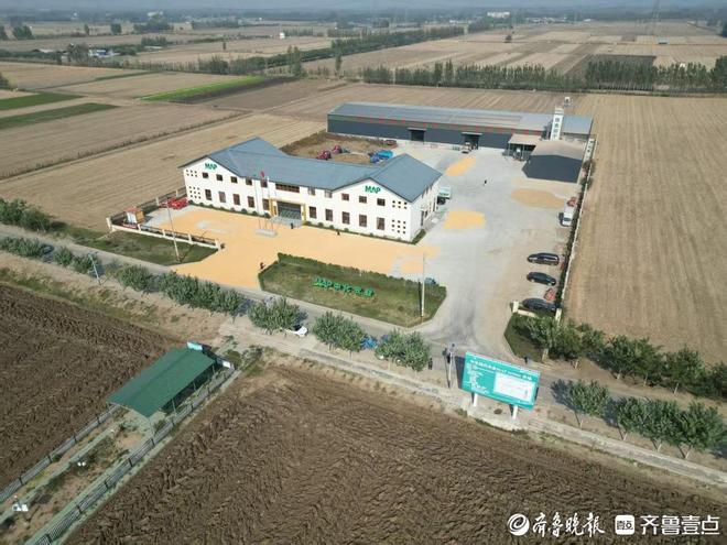 210万农担贷助力泰安秋粮抢收种粮大户将再建300吨烘干塔(图1)