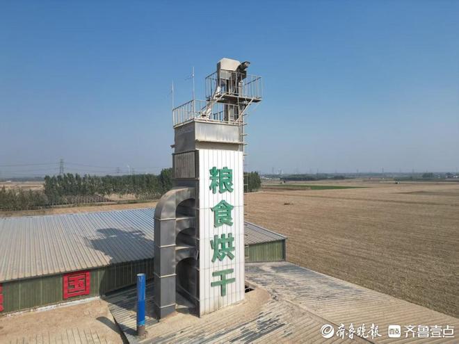 210万农担贷助力泰安秋粮抢收种粮大户将再建300吨烘干塔(图4)