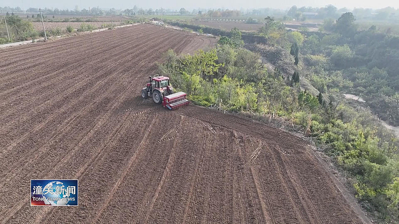 陕西潼关：抢时播种忙丰收希望撒田间(图1)