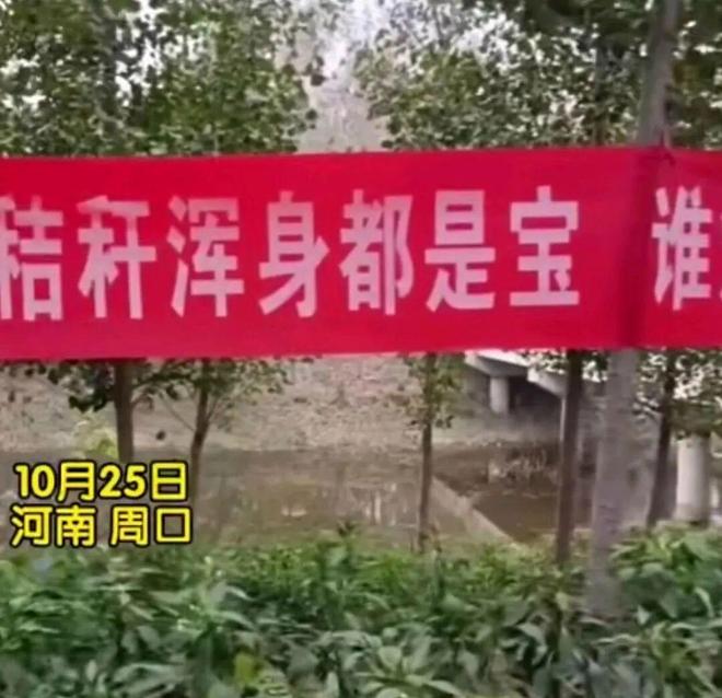 辣眼睛！河南为禁烧秸秆发布低俗标语官民联手的闹剧寒了谁的心(图5)