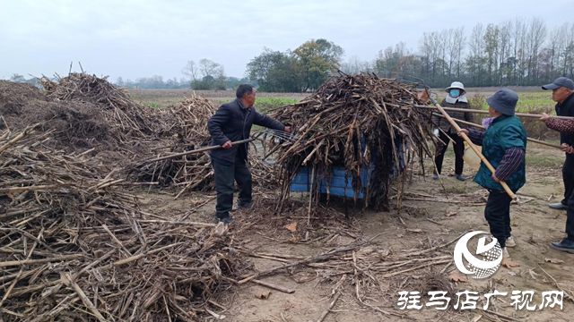 确山县留庄镇：秸秆“废”变“宝”走必赢国际出生态增收双赢路(图1)
