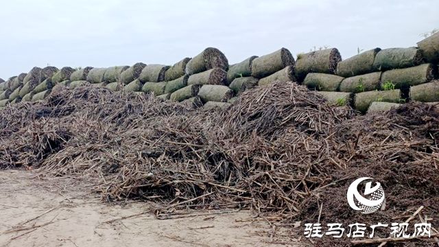 确山县留庄镇：秸秆“废”变“宝”走必赢国际出生态增收双赢路(图3)