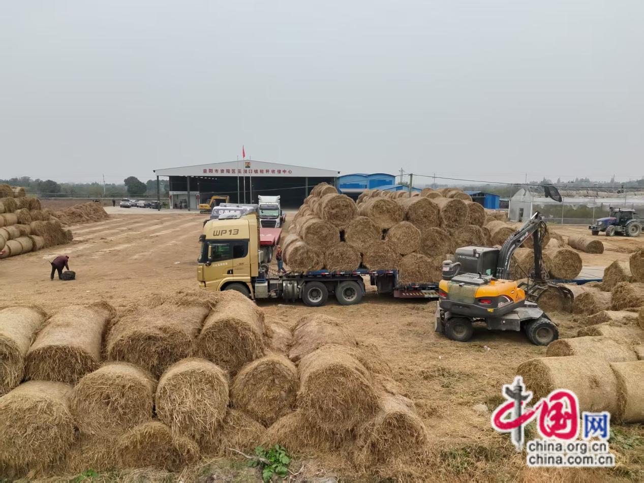 湖南益阳:打响秸秆综合利用“人民战争”(图5)