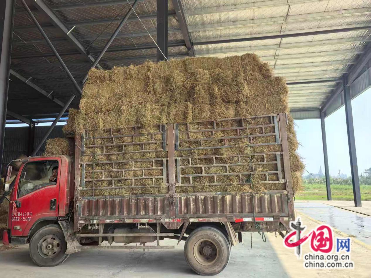 湖南益阳:打响秸秆综合利用“人民战争”(图7)