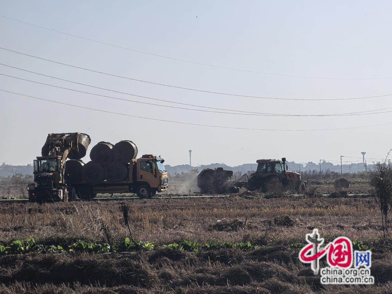 湖南益阳:打响秸秆综合利用“人民战争”(图8)