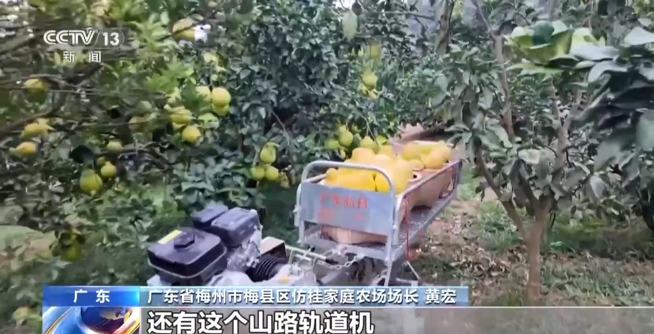 从“会种地”到“慧种地”看十亿亩农田“版本升级”必赢国际(图3)
