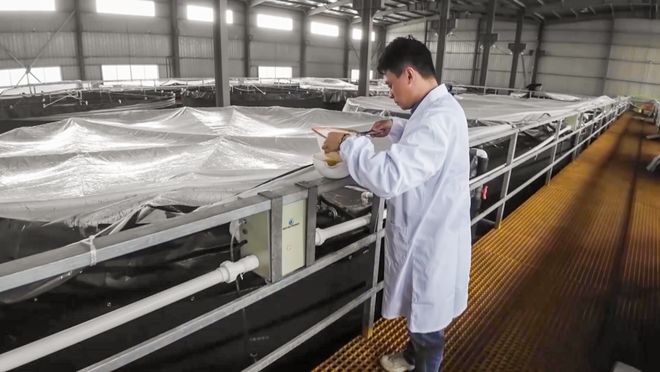 科技赋能智绘射阳现代农业新图景(图1)