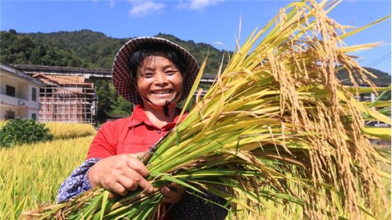 湖北安陆：促秸秆离田变宝护沃野青山兴乡(图1)
