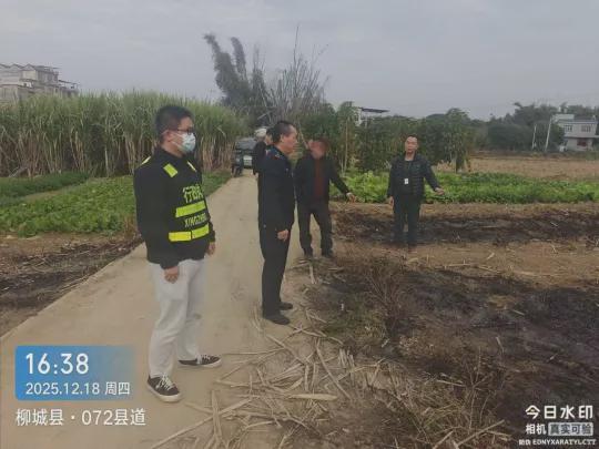 柳城秸秆禁烧困局：为何挡不住田间一把火？(图1)