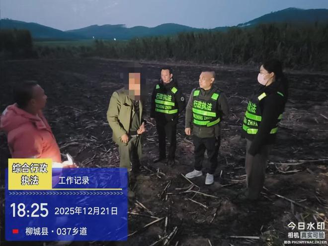 柳城秸秆禁烧困局：为何挡不住田间一把火？(图2)