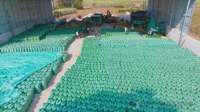 柳城秸秆禁烧困局：为何挡不住田间一把火？(图6)