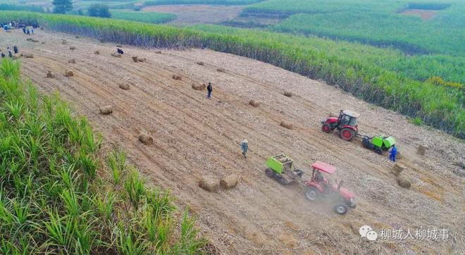 柳城秸秆禁烧困局：为何挡不住田间一把火？(图7)