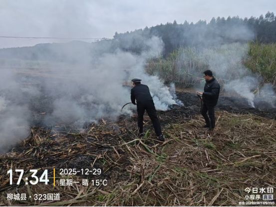 柳城秸秆禁烧困局：为何挡不住田间一把火？(图5)
