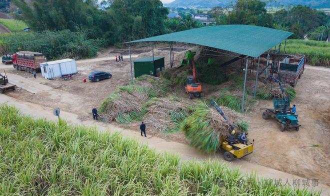 柳城秸秆禁烧困局：为何挡不住田间一把火？(图8)