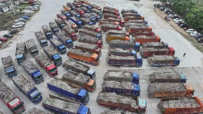 柳城秸秆禁烧困局：为何挡不住田间一把火？(图10)