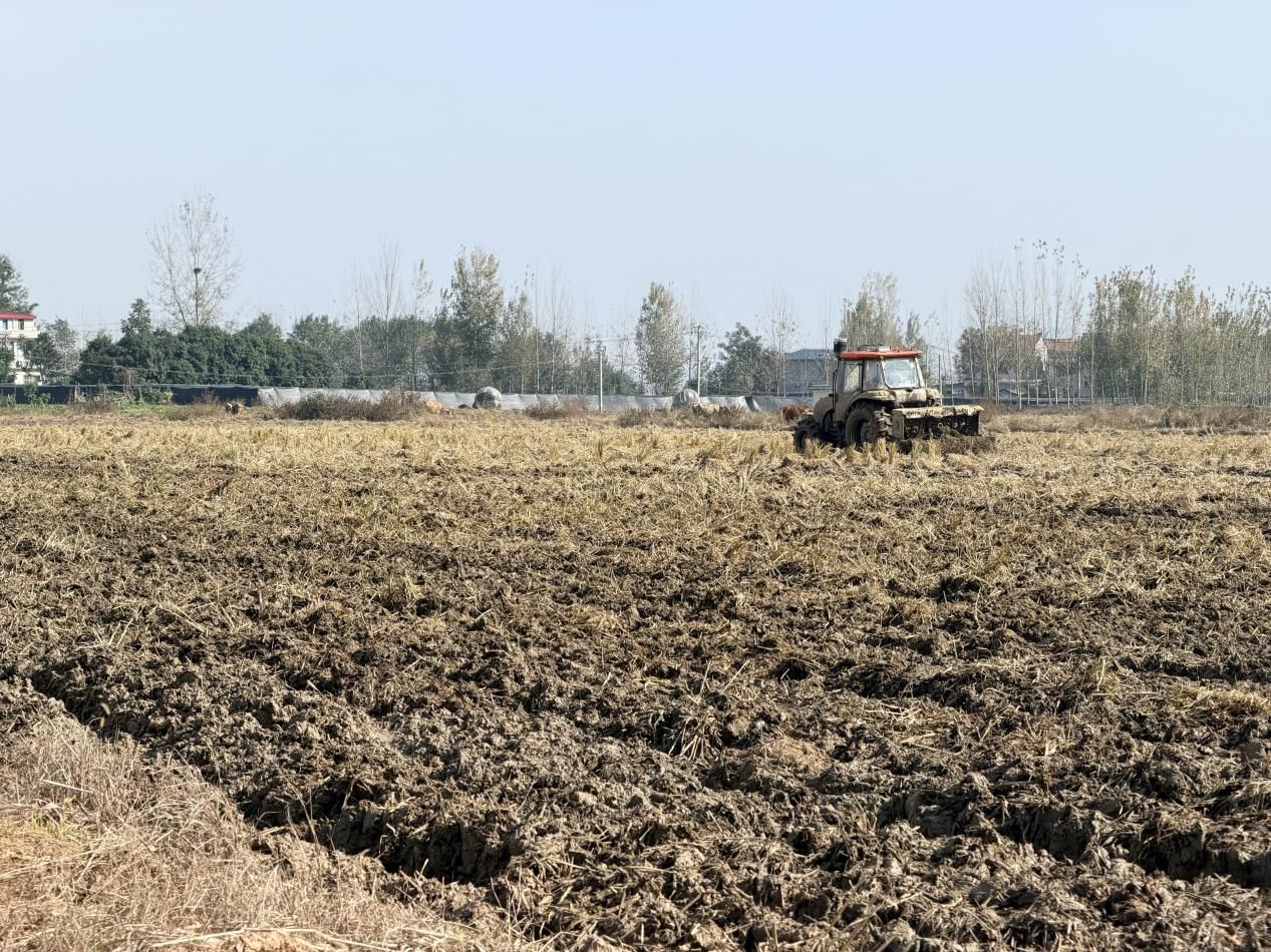 天上飞无人机地上跑播种机！谷城城关镇格垒嘴村奏响秋播“空地协同”交响曲(图4)
