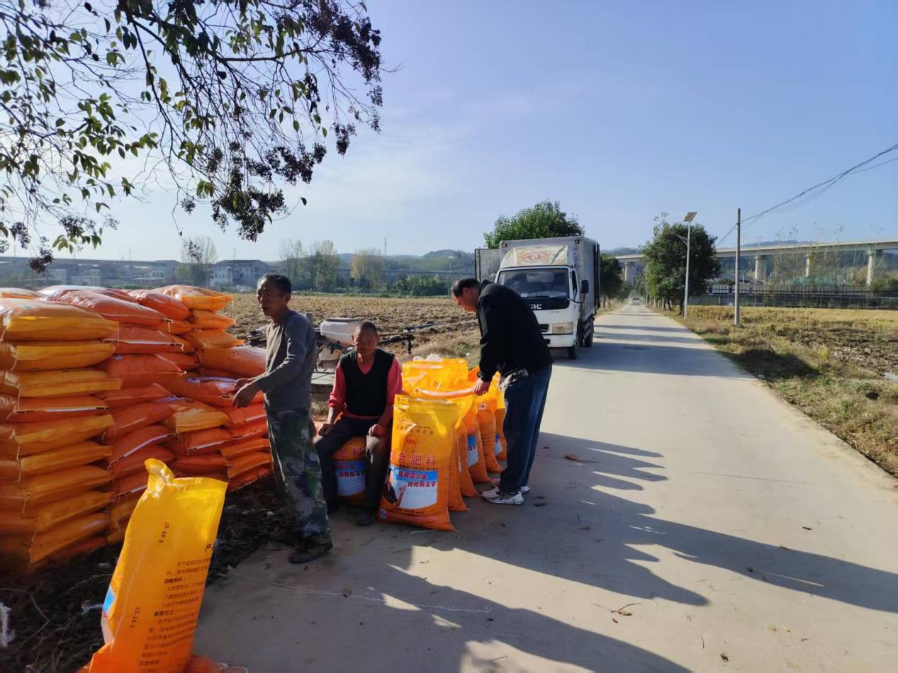 天上飞无人机地上跑播种机！谷城城关镇格垒嘴村奏响秋播“空地协同”交响曲(图3)