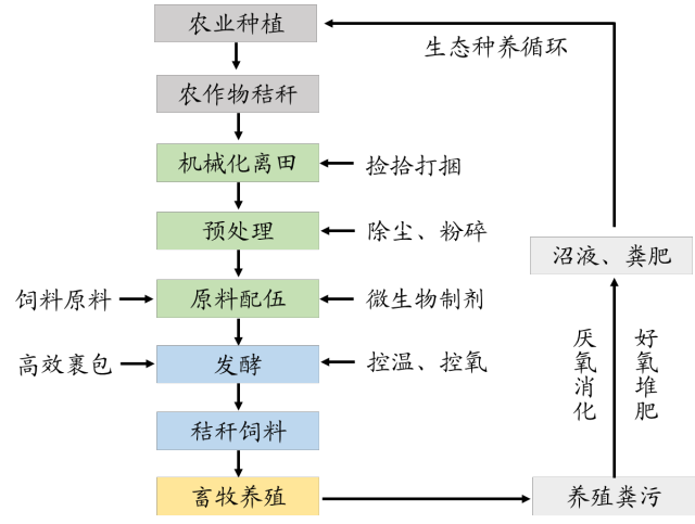 秸秆“变身记”！看广东如何玩转农业“循环魔法”(图1)