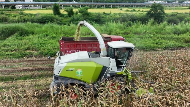 秸秆“变身记”！看广东如何玩转农业“循环魔法”(图2)