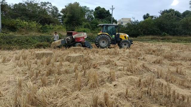 秸秆“变身记”！看广东如何玩转农业“循环魔法”(图4)