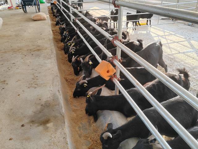 秸秆“变身记”！看广东如何玩转农业“循环魔法”(图7)