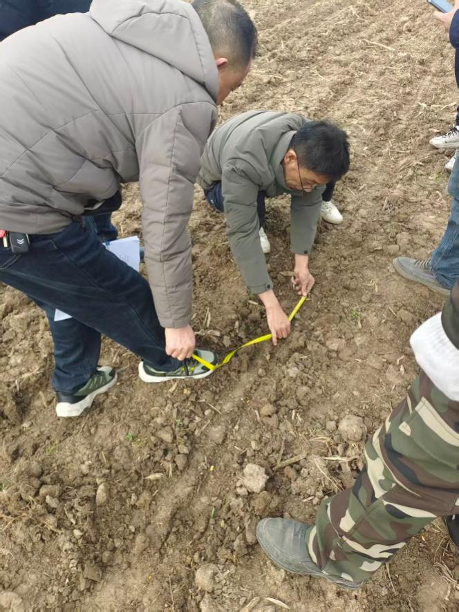 襄州开展高性能播种机田间演示评价(图2)