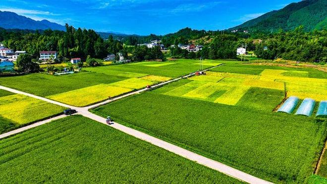 农业农村“十四五”成就:大国粮仓更稳乡村底色更美(图1)