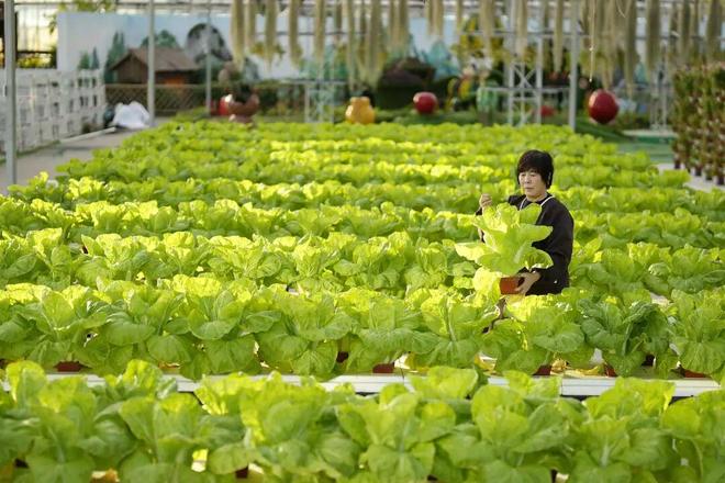 农业农村“十四五”成就:大国粮仓更稳乡村底色更美(图11)