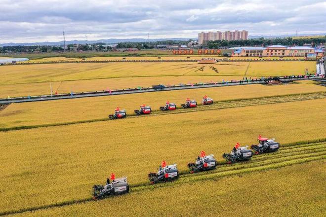 农业农村“十四五”成就:大国粮仓更稳乡村底色更美(图5)