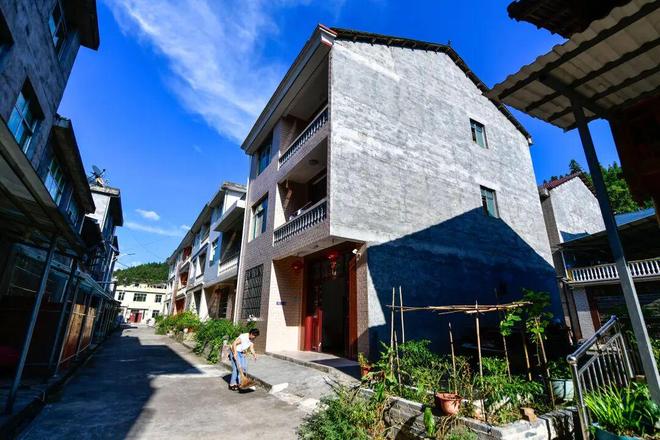 农业农村“十四五”成就:大国粮仓更稳乡村底色更美(图7)