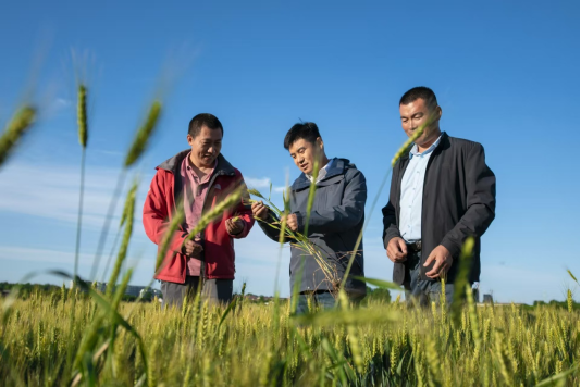 强农先锋丨马建海和他的“绿野模式”(图1)