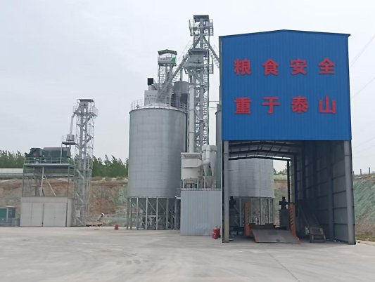 强农先锋丨马建海和他的“绿野模式”(图4)