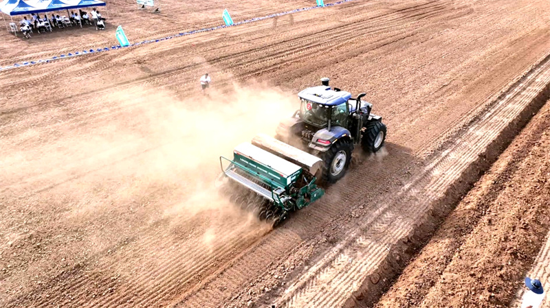 解码小麦高产“粮方”潍柴雷沃这场田间体验日带你找到答案(图5)