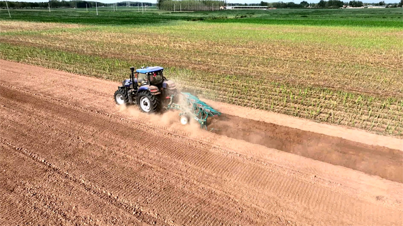 解码小麦高产“粮方”潍柴雷沃这场田间体验日带你找到答案(图4)
