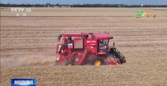 “三夏”AI智能体带您解锁丰收密码!(图5)