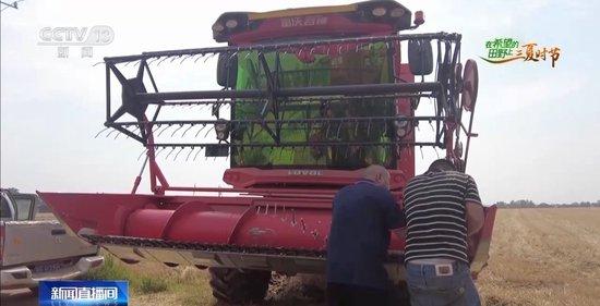 “三夏”AI智能体带您解锁丰收密码!(图14)