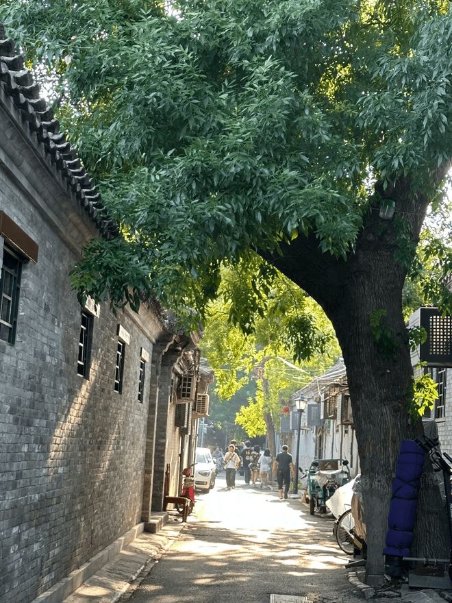 避坑指南!2025北京口碑最佳旅行社Top10大公开凭实名好评杀疯了(图1)