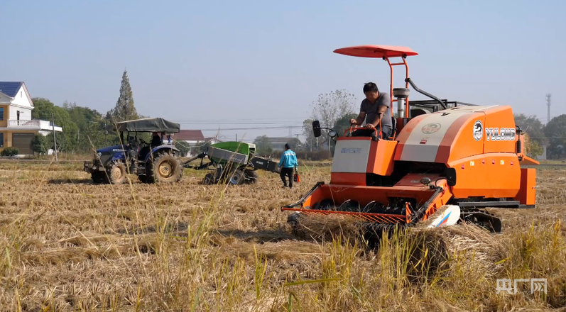 助力“点草Bwin必赢成金”！湖南出台政策培育秸秆收储运职业经纪人(图1)