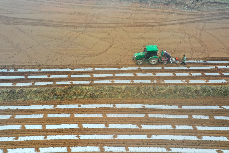 贵州威宁：150必赢万亩马铃薯全面播种(图7)