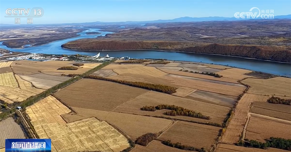 必赢国际金秋十月“丰”景如画机械化提质增效奏响现代农业“奋进曲”(图1)