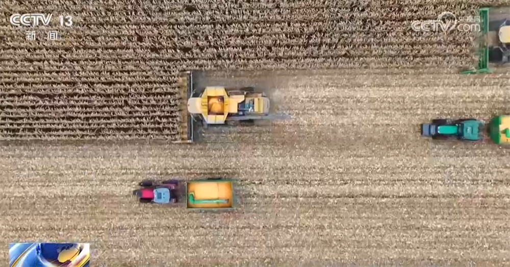 必赢国际金秋十月“丰”景如画机械化提质增效奏响现代农业“奋进曲”(图3)