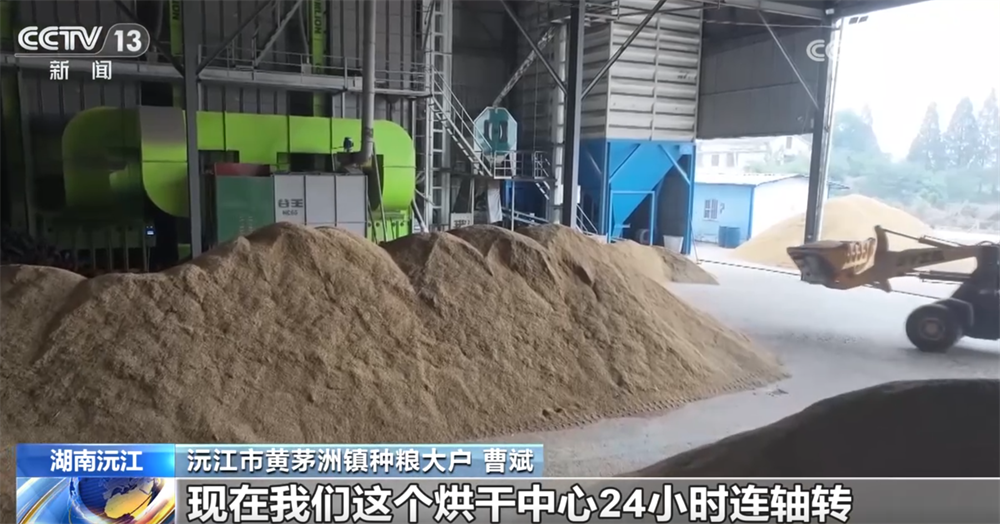 必赢国际金秋十月“丰”景如画机械化提质增效奏响现代农业“奋进曲”(图8)