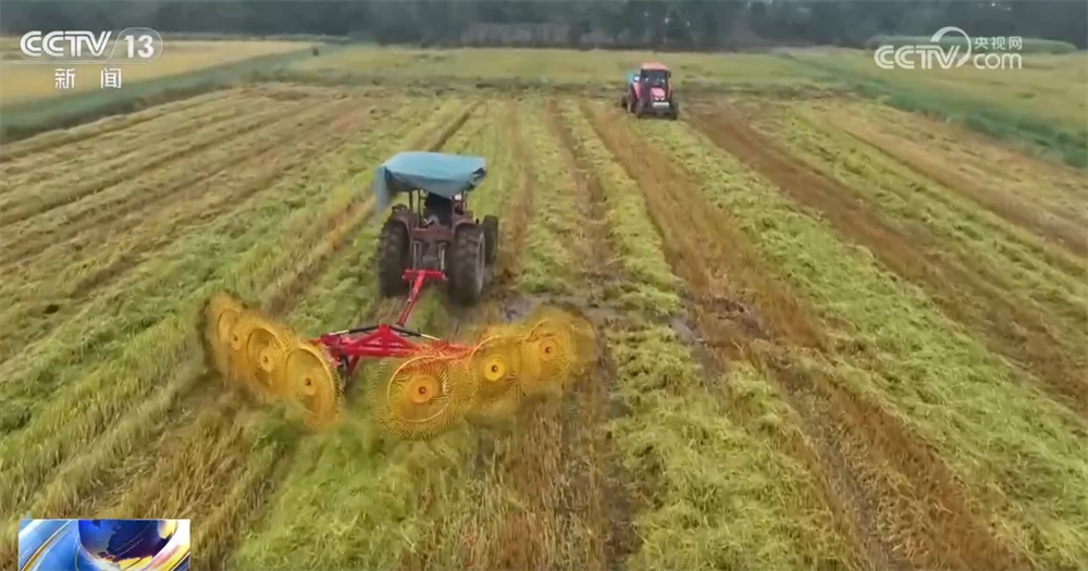 必赢国际金秋十月“丰”景如画机械化提质增效奏响现代农业“奋进曲”(图9)