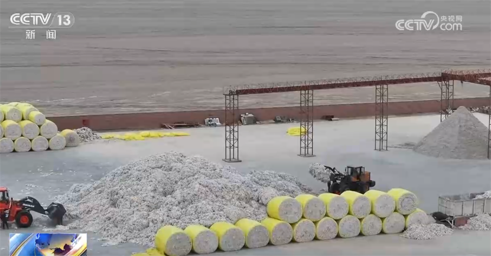 必赢国际金秋十月“丰”景如画机械化提质增效奏响现代农业“奋进曲”(图12)