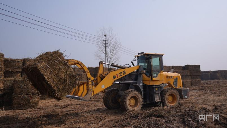 河南省襄城县双庙乡:辣椒产业必赢链助力乡村振兴(图1)