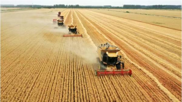 中原粮仓农机潮涌——全国农机展何以5年扎根驻马店(图1)